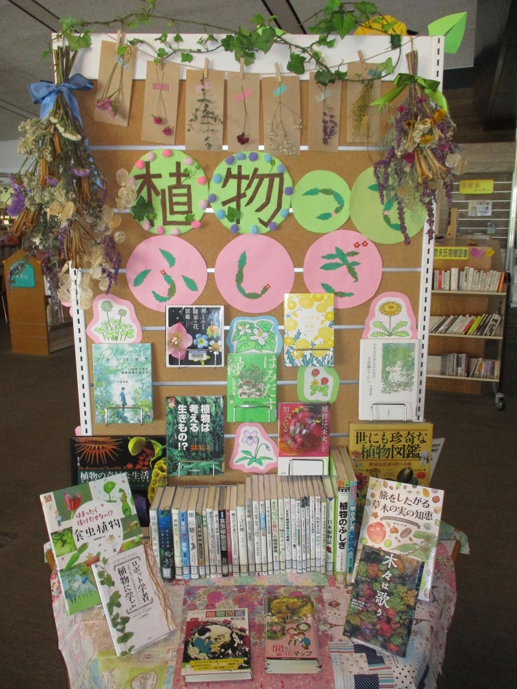 図書館からのお知らせ